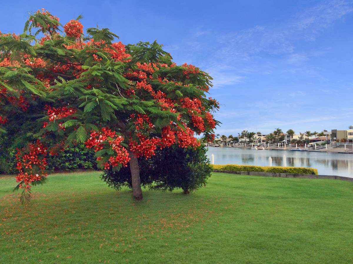 69-71 Mooloolah Drive, Minyama